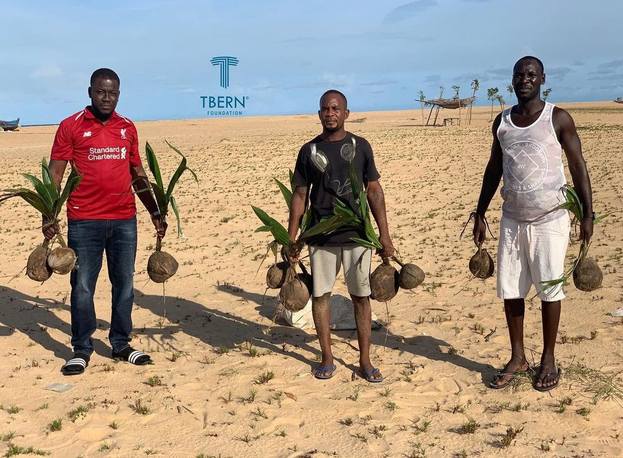 Reforestation success story